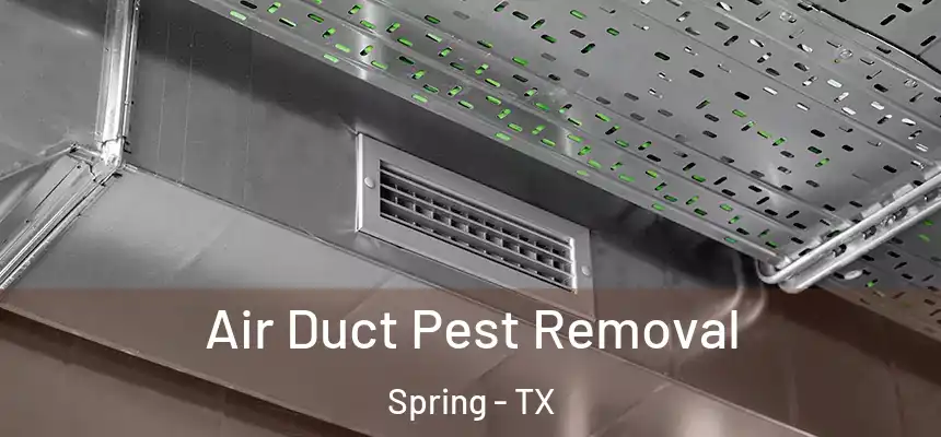 Air Duct Pest Removal Spring - TX
