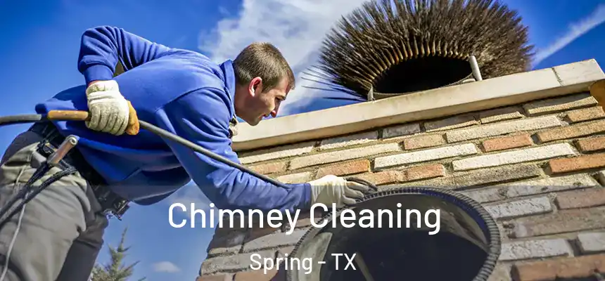 Chimney Cleaning Spring - TX