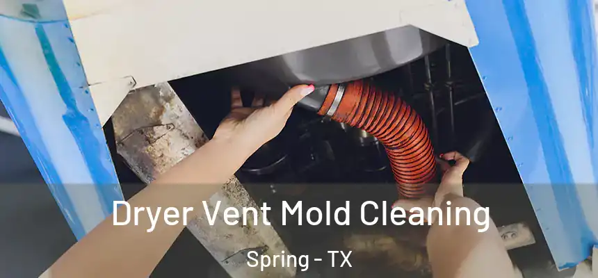 Dryer Vent Mold Cleaning Spring - TX