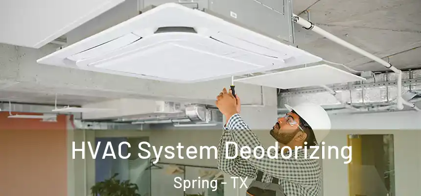  HVAC System Deodorizing Spring - TX