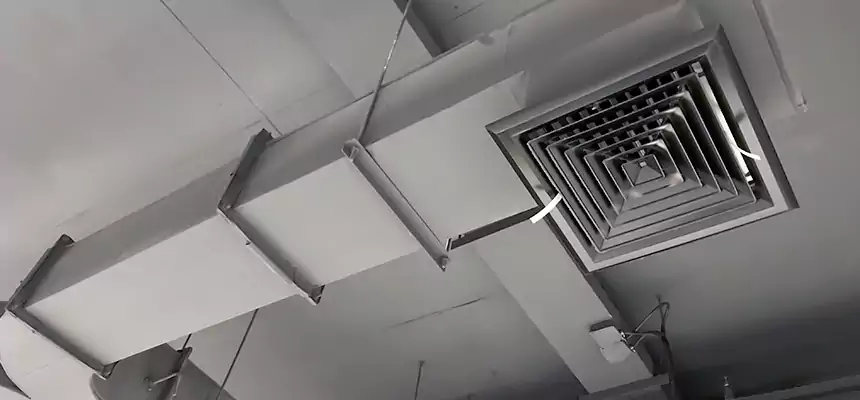 Restorative Allergy Relief Vent Cleaning – Coil, Blower & Housing Detail in Spring