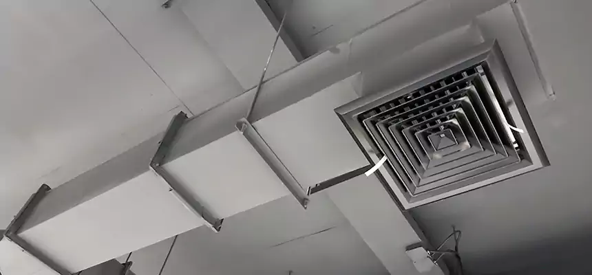 Our Rodent Droppings In Vents Services in Spring, TX