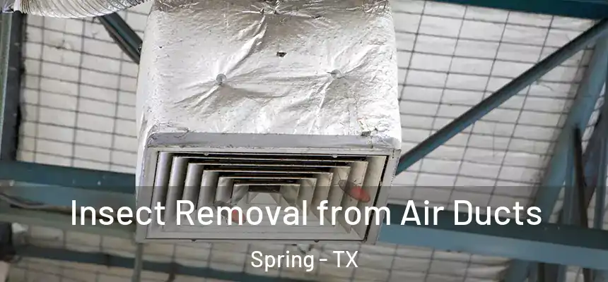 Insect Removal from Air Ducts Spring - TX