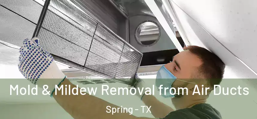  Mold & Mildew Removal from Air Ducts Spring - TX