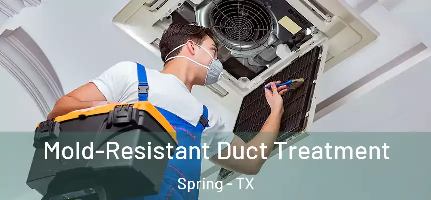 Mold-Resistant Duct Treatment Spring - TX