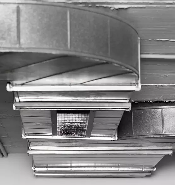 Professional Air Duct Pest Removal in Spring, TX