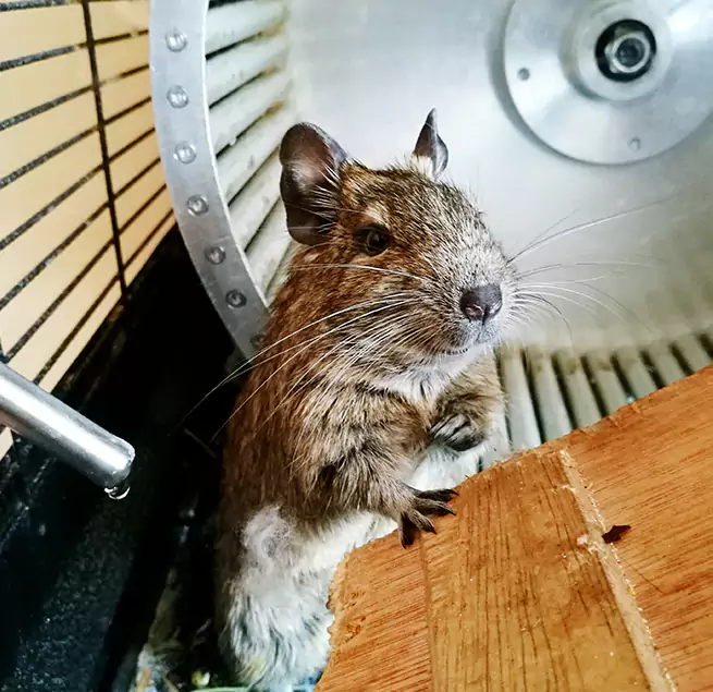 Why Homeowners & Businesses Trust Us Spring, TX