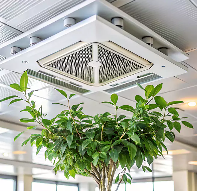 Why Homeowners & Businesses Trust Us in Spring, TX